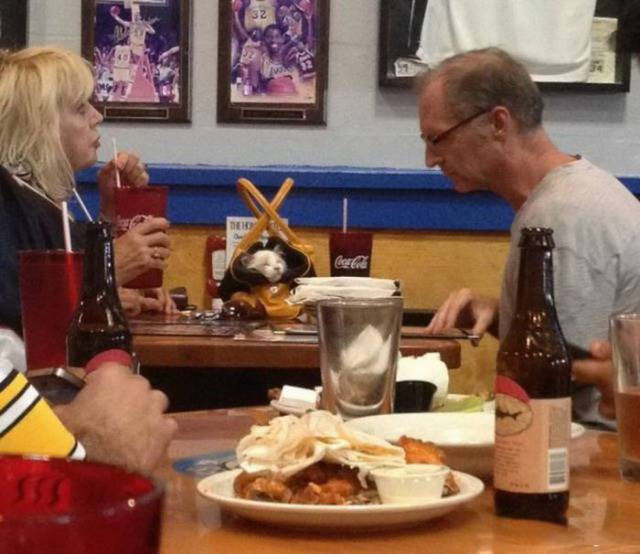 Acid Picdump (122 pics)