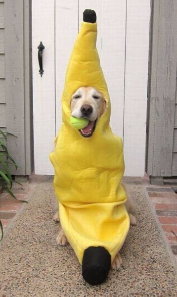 Acid Picdump (122 pics)
