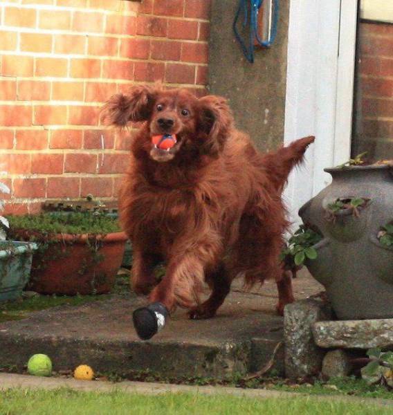 Acid Picdump (122 pics)