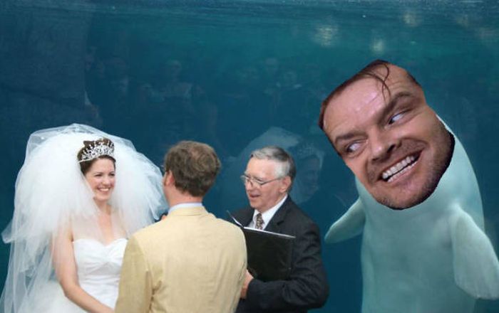 Beluga Whale Attends Wedding, Sparks Photoshop Battle (40 pics)