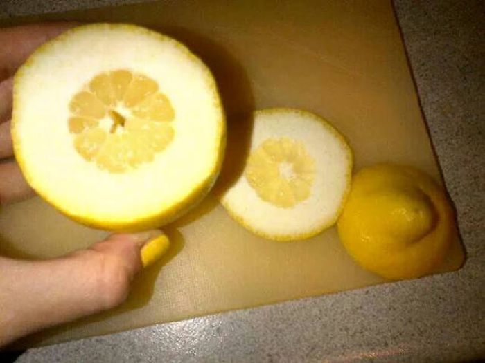 When Food Is Full Of Nothing But Lies (59 pics)