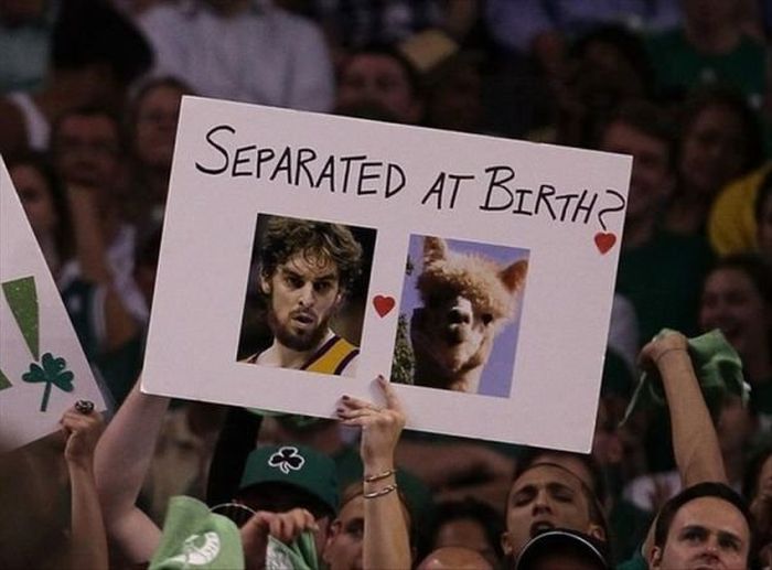 Hilarious Sports Signs Spotted At Games (19 pics)