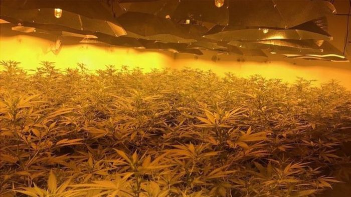Authorities Find Massive Cannabis Farm In A Nuclear Bunker (3 pics)