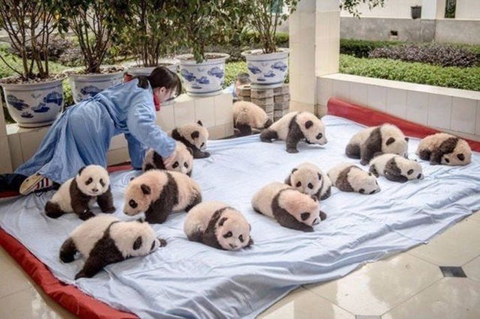 A Thousand Words Can't Sum Up These Amusing Pictures (40 pics)