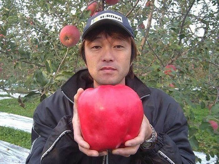 A Thousand Words Can't Sum Up These Amusing Pictures (40 pics)