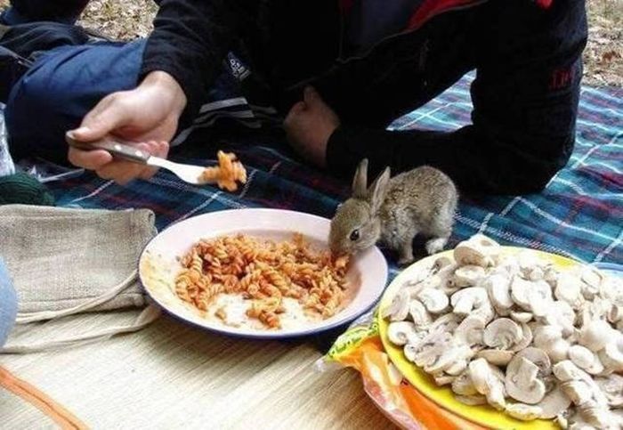 A Thousand Words Can't Sum Up These Amusing Pictures (40 pics)