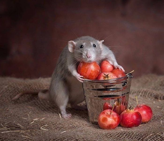 A Thousand Words Can't Sum Up These Amusing Pictures (40 pics)