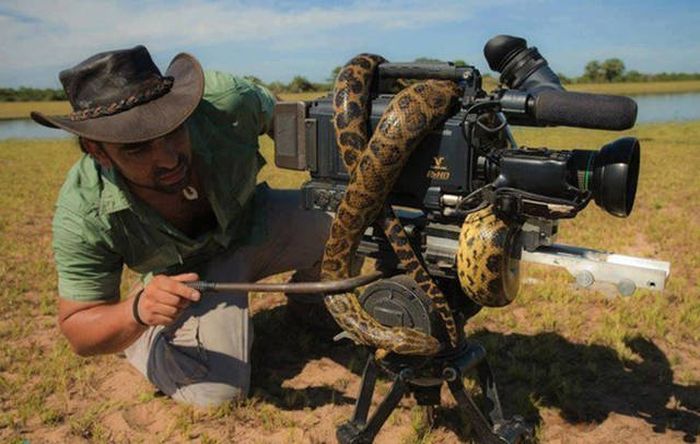 A Thousand Words Can't Sum Up These Amusing Pictures (40 pics)