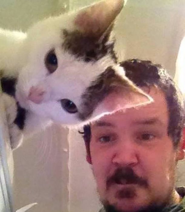 A Thousand Words Can't Sum Up These Amusing Pictures (40 pics)