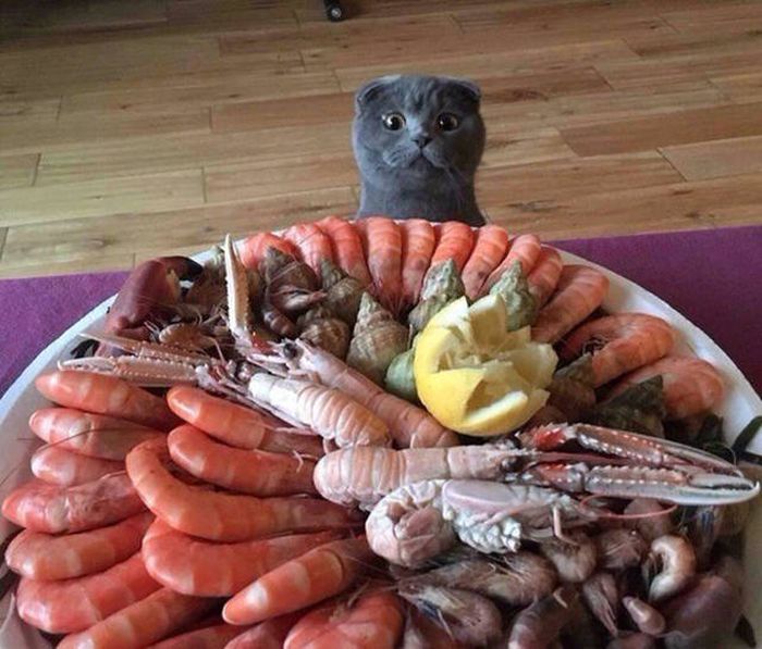 A Thousand Words Can't Sum Up These Amusing Pictures (40 pics)