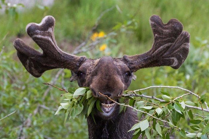 A Thousand Words Can't Sum Up These Amusing Pictures (40 pics)