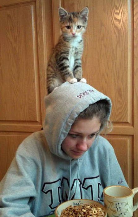 These Animals Think Their Human Is An Idiot (53 pics)