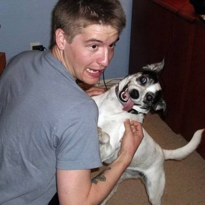 These Animals Think Their Human Is An Idiot (53 pics)