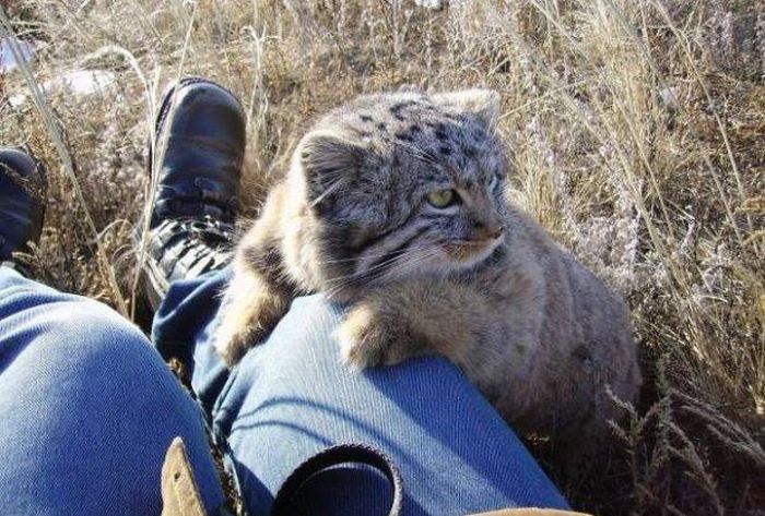 Farmer Thought She Picked Up Kittens But She Was Wrong (7 pics)