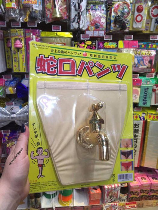 Japan Is Definitely The Land Of Rising Questions (40 pics)