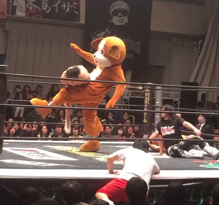 Japanese Wrestling Will Make Your Brain Hurt (26 pics)