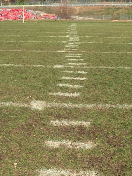 Nice Try But You Failed Big Time (40 pics)