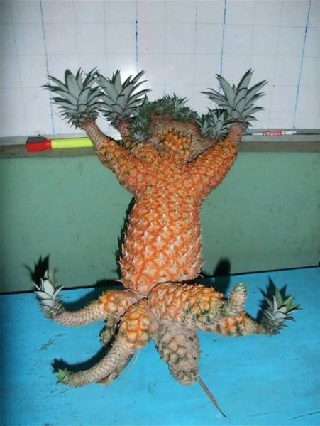 Acid Picdump (104 pics)