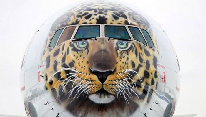 Acid Picdump (104 pics)