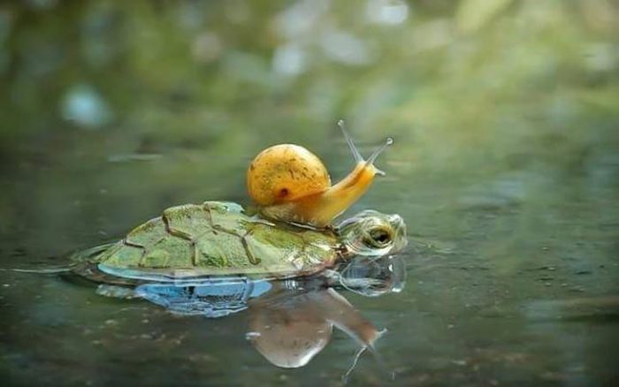 Acid Picdump (104 pics)