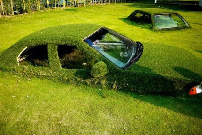Acid Picdump (104 pics)