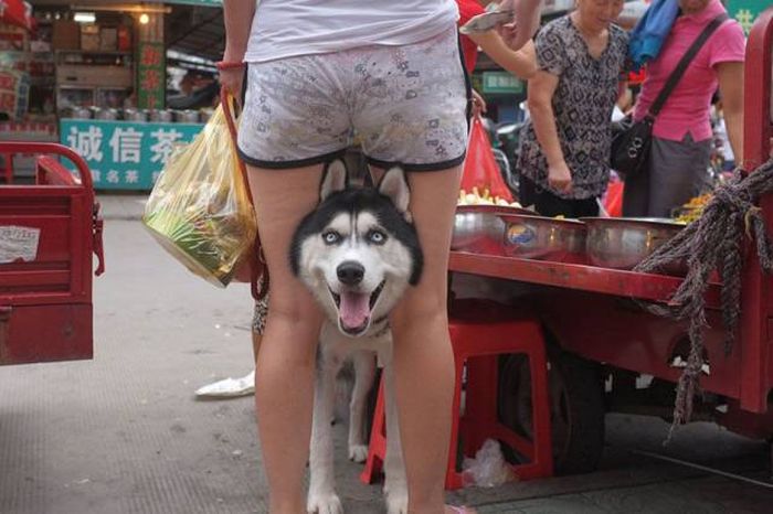 Acid Picdump (104 pics)