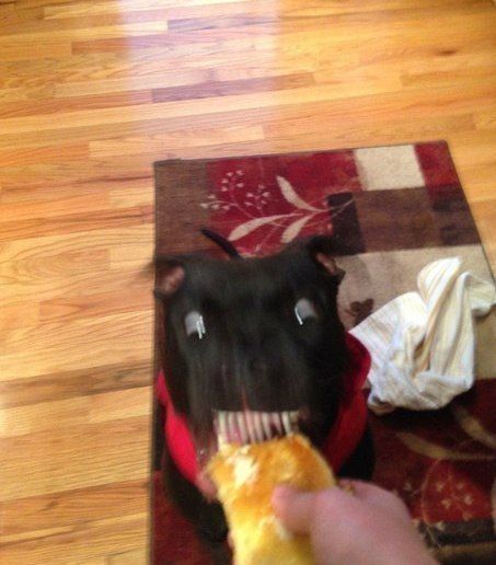 Acid Picdump (104 pics)