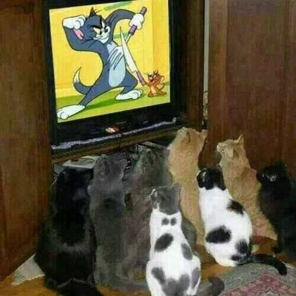 Acid Picdump (104 pics)