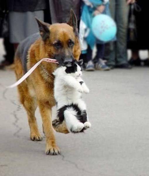 Acid Picdump (104 pics)