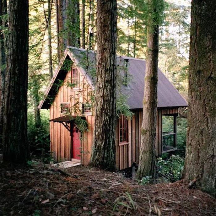 These Houses Could Be The Coziest Homes In The World (25 pics)