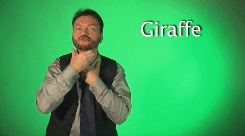 Why Sign Language Is Actually A Very Useful Thing (17 gifs)