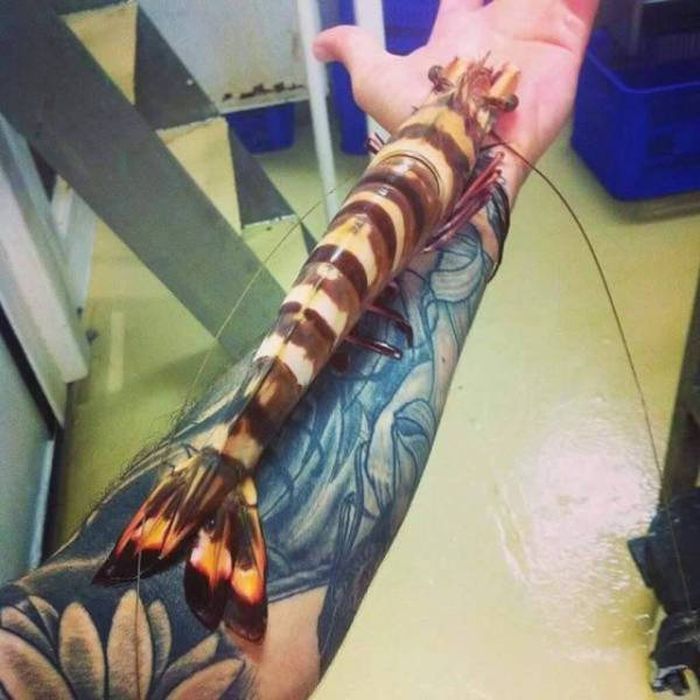 Nope, Not Even In A Million Years (50 pics)