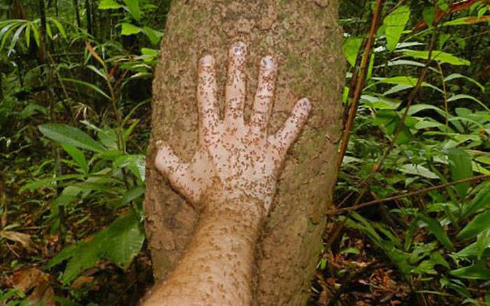 Nope, Not Even In A Million Years (50 pics)