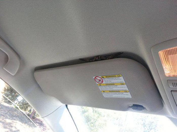 Nope, Not Even In A Million Years (50 pics)