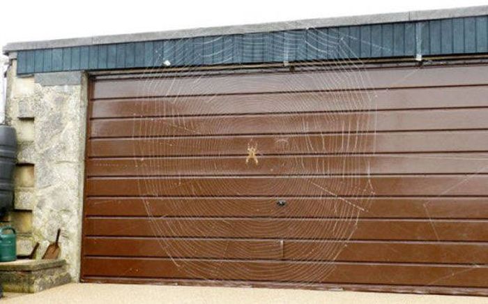 Nope, Not Even In A Million Years (50 pics)