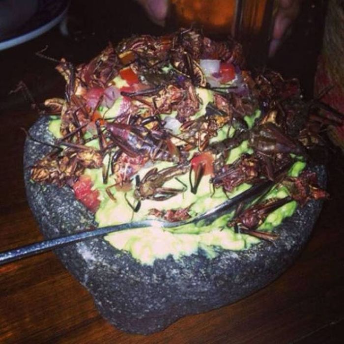 Nope, Not Even In A Million Years (50 pics) Nope, Not Even In A Million Years (50 pics)