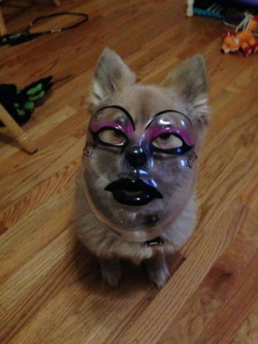 Nope, Not Even In A Million Years (50 pics) Nope, Not Even In A Million Years (50 pics)