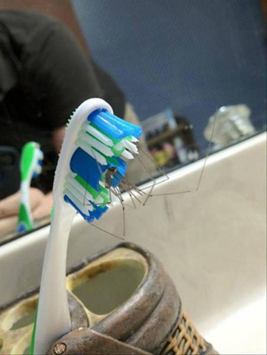 Nope, Not Even In A Million Years (50 pics)