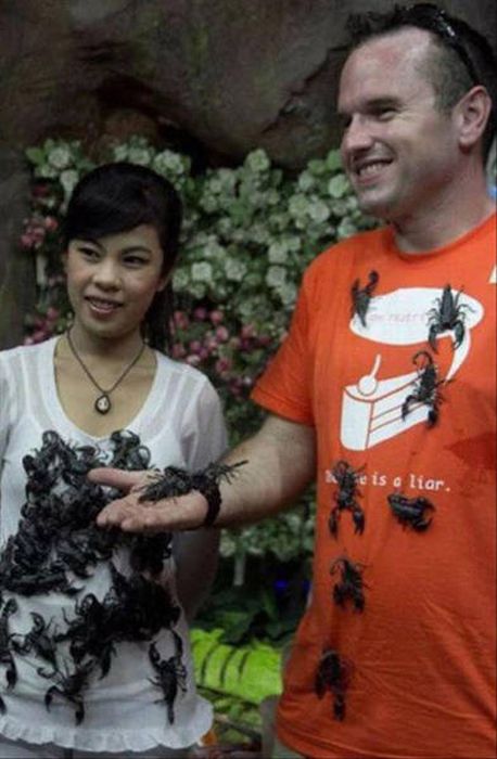 Nope, Not Even In A Million Years (50 pics)