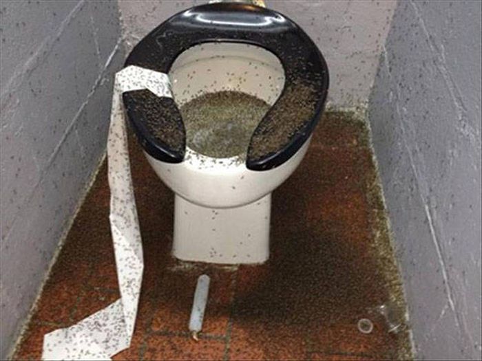 Nope, Not Even In A Million Years (50 pics)