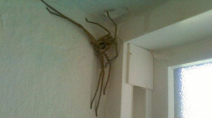 Nope, Not Even In A Million Years (50 pics)