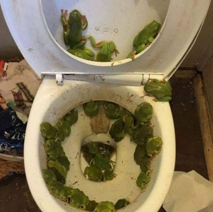 Nope, Not Even In A Million Years (50 pics) Nope, Not Even In A Million Years (50 pics)
