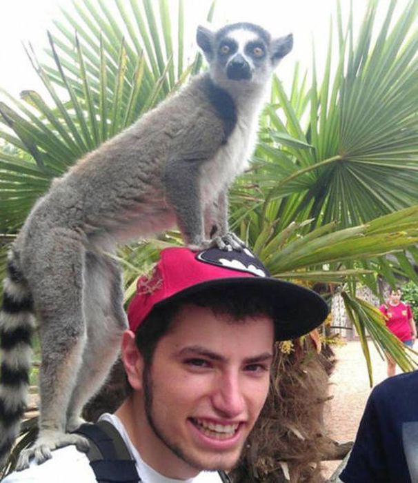 Nope, Not Even In A Million Years (50 pics)