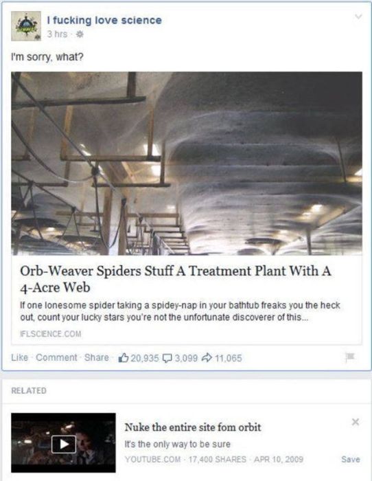 Nope, Not Even In A Million Years (50 pics)