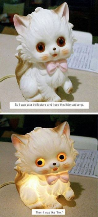 Nope, Not Even In A Million Years (50 pics)