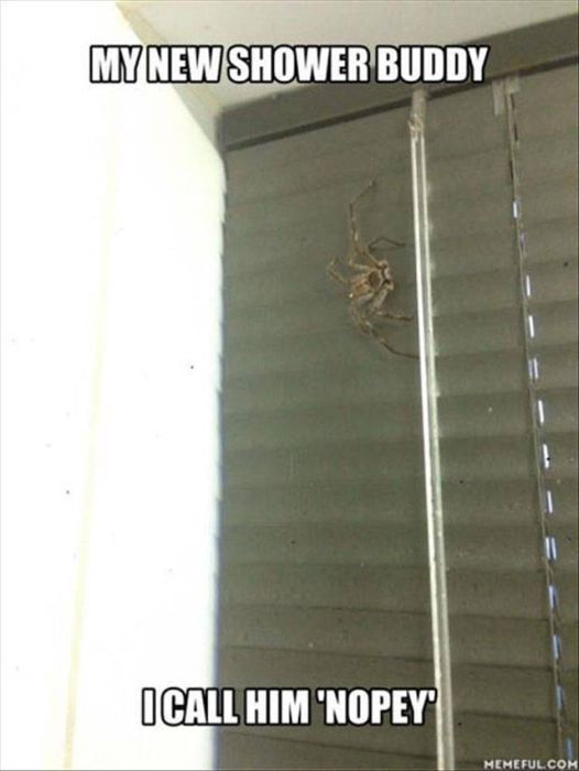 Nope, Not Even In A Million Years (50 pics) Nope, Not Even In A Million Years (50 pics)