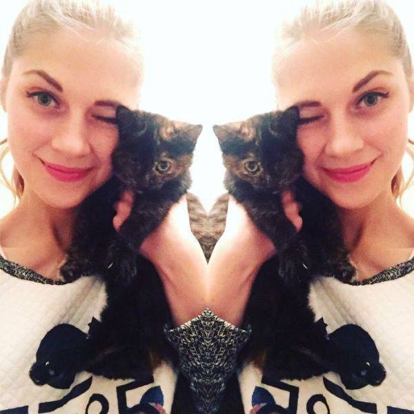 Cat-Saving Movement Started By A Woman With A Big Heart (15 pics)