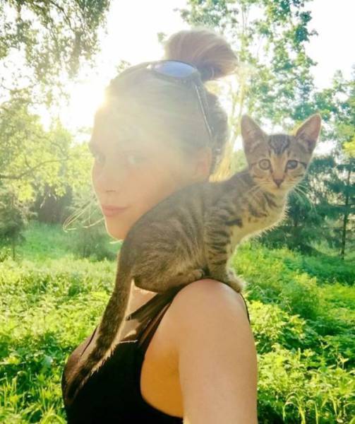 Cat-Saving Movement Started By A Woman With A Big Heart (15 pics)