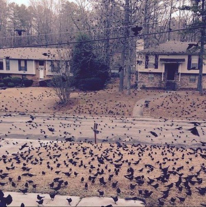 When You See These Pictures You're Going To Stop And Think WTF (43 pics)