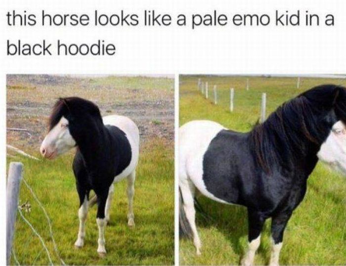 Acid Picdump (97 pics)